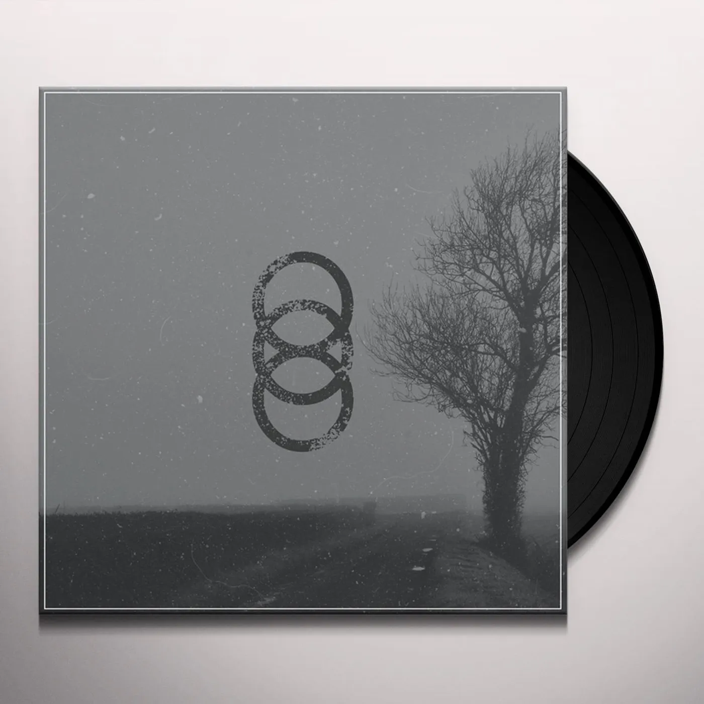 Hundred Year Old Man Rei Vinyl Record