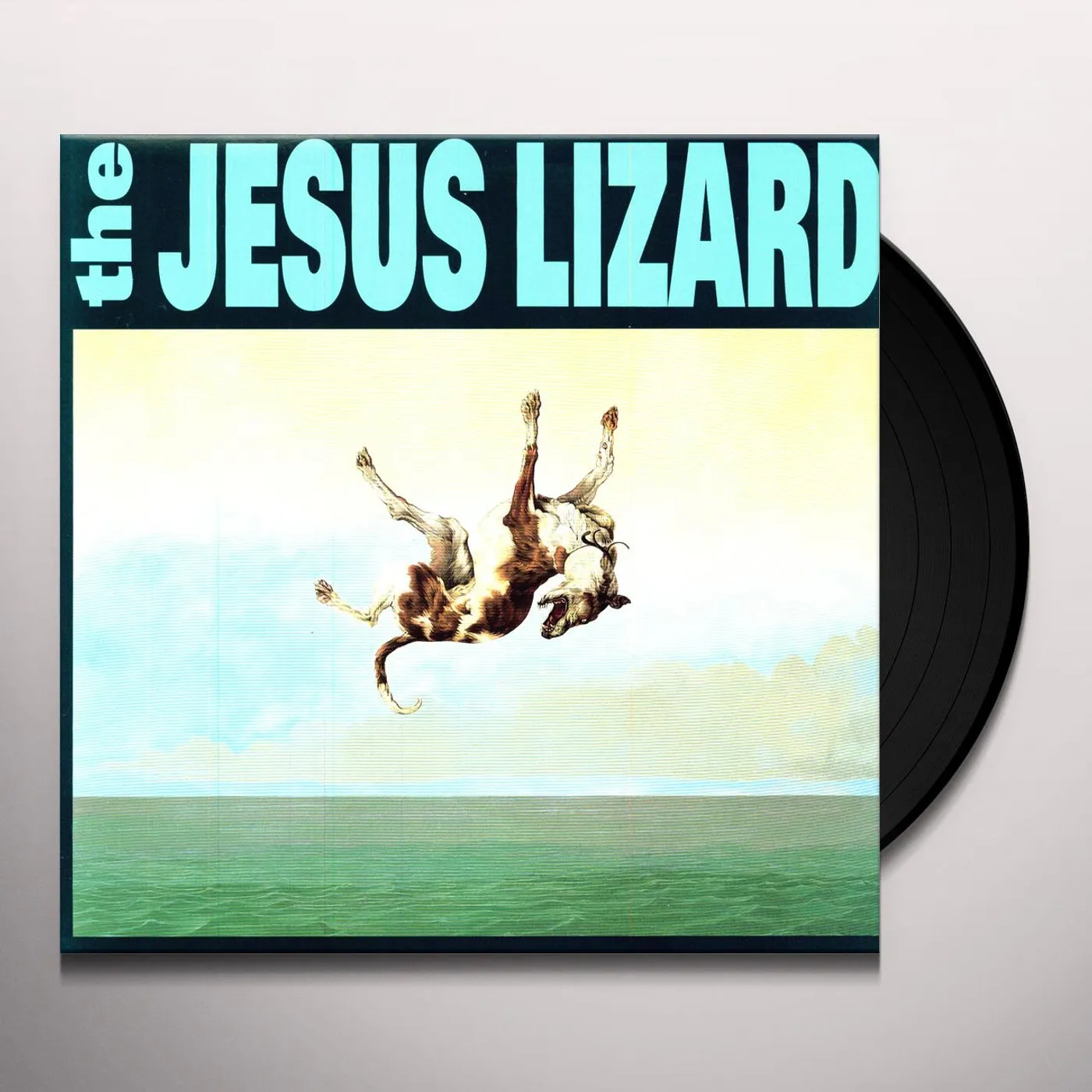 The Jesus Lizard Down Vinyl Record