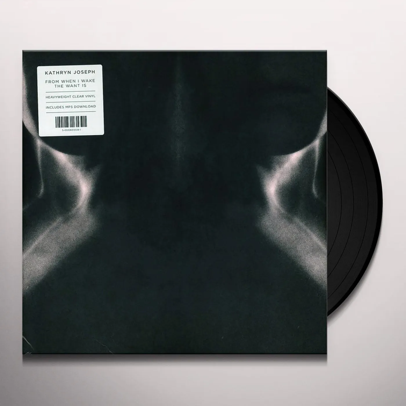 Kathryn Joseph FROM WHEN I WAKE THE WANT IS Vinyl Record