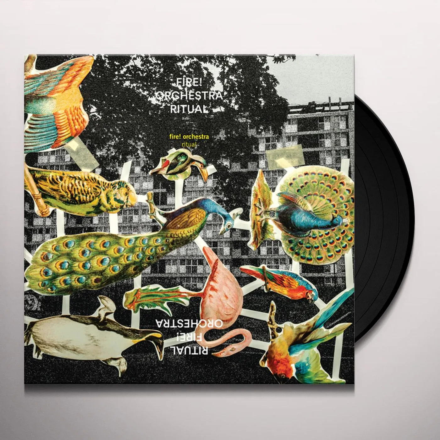 Fire! Orchestra Ritual Vinyl Record