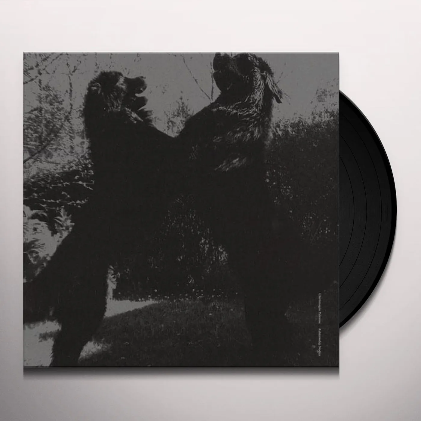 Charlemagne Palestine RELATIONSHIP STUDIES Vinyl Record