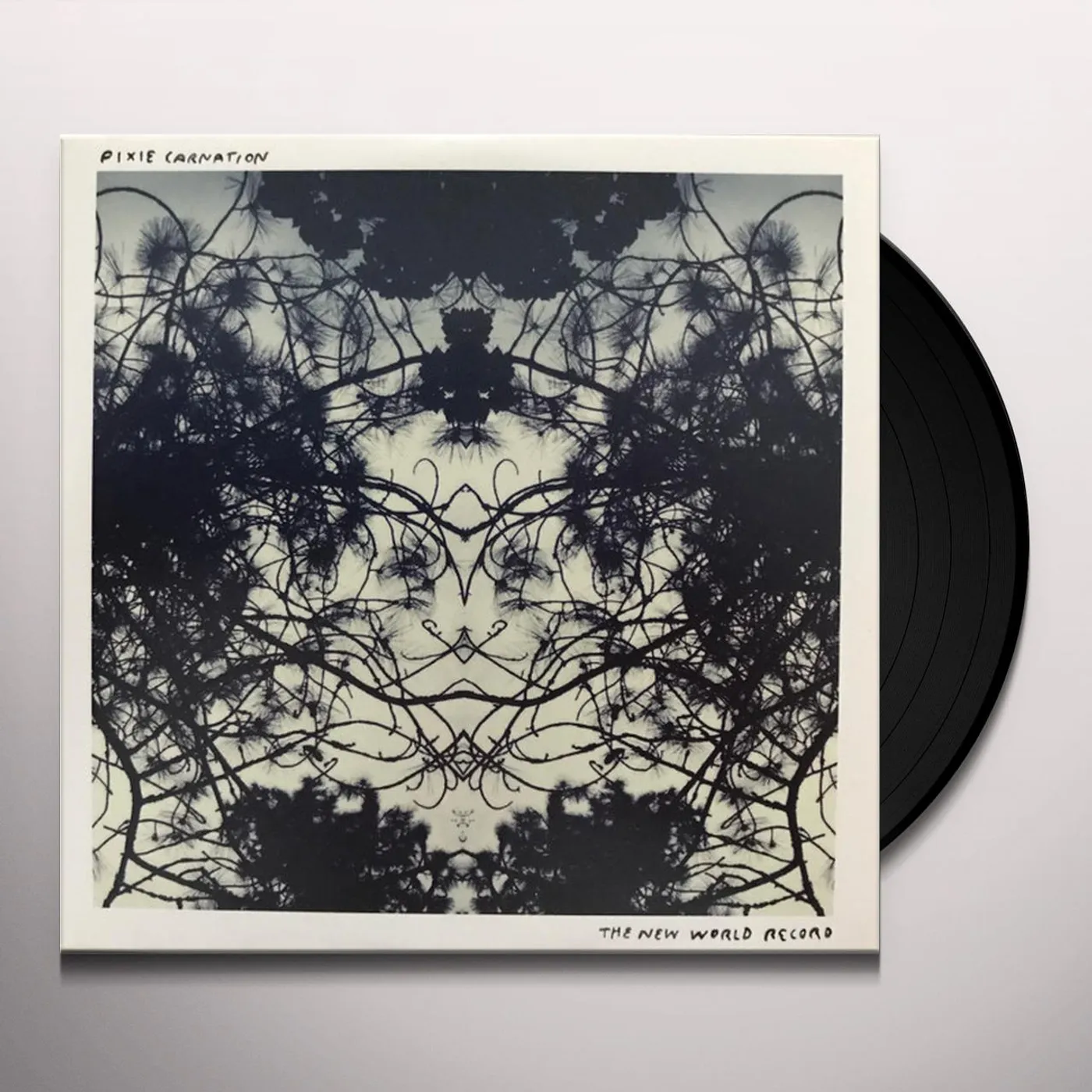 Pixie Carnation NEW WORLD RECORD Vinyl Record