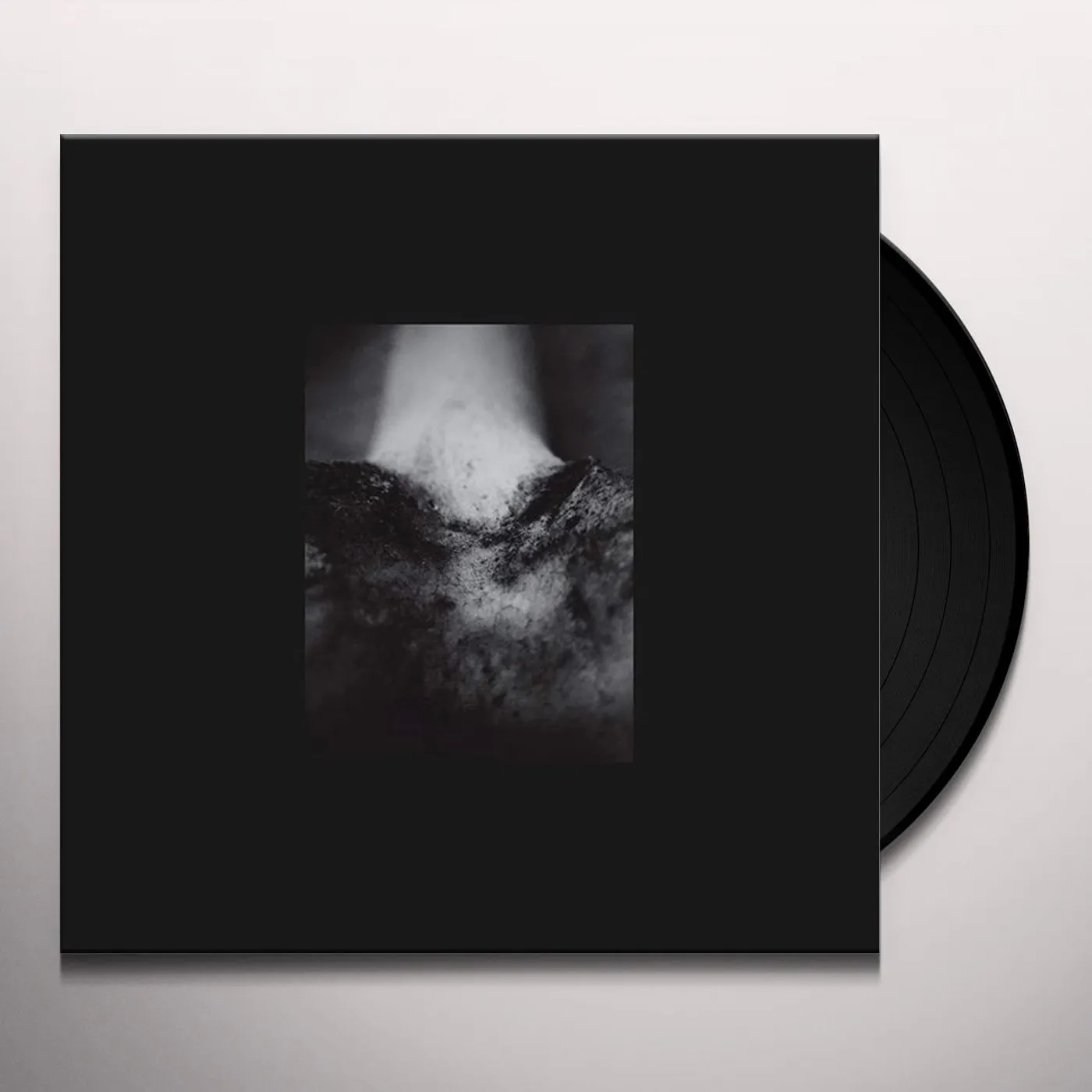 Common Eider, King Eider WOUND OF BODY Vinyl Record