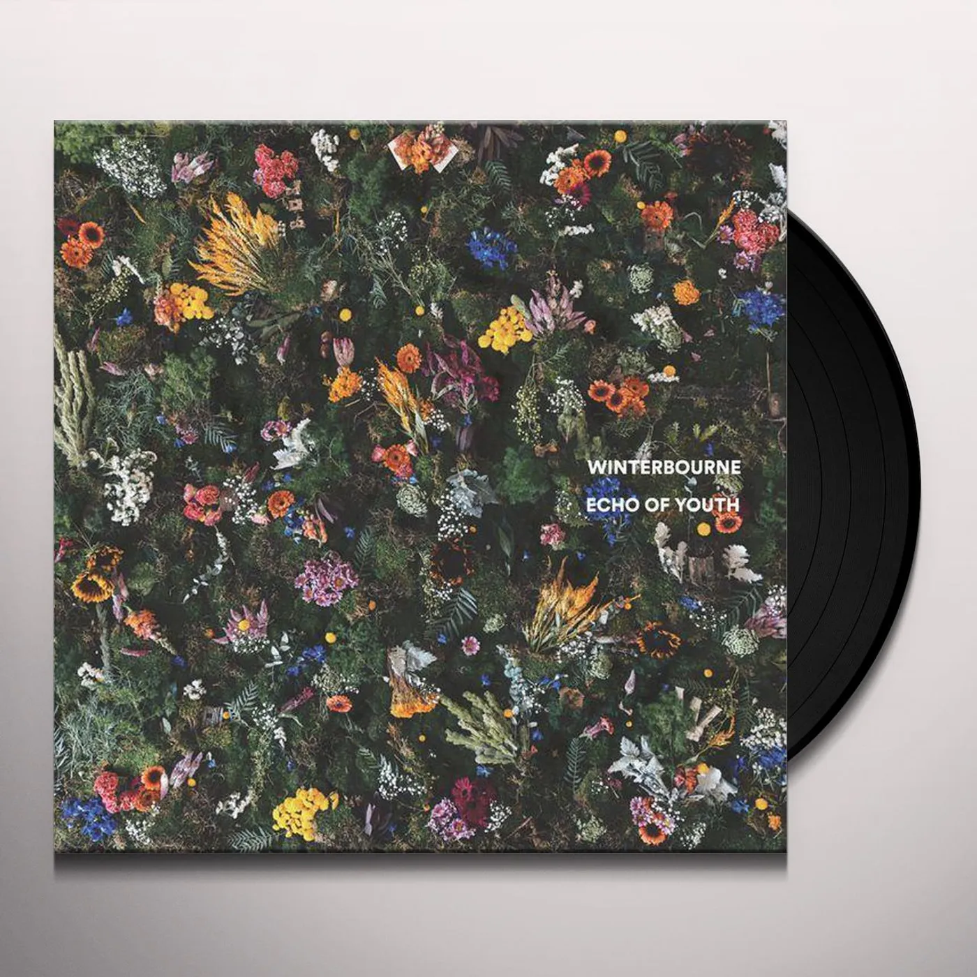 Winterbourne Echo Of Youth Vinyl Record