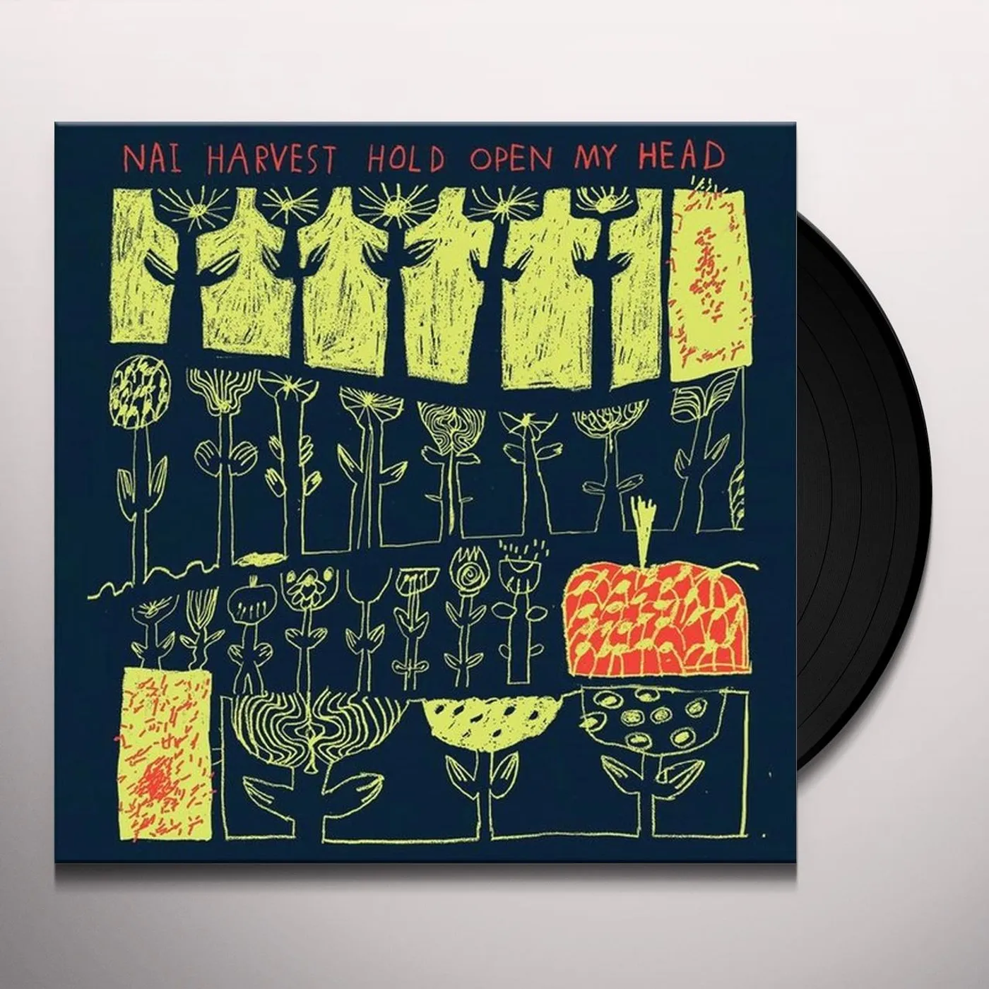 Nai Harvest Hold Open My Head Vinyl Record