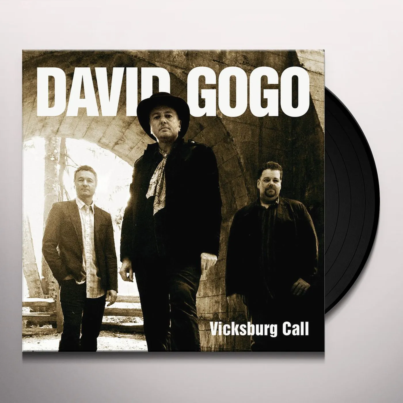 David Gogo Vicksburg Call Vinyl Record