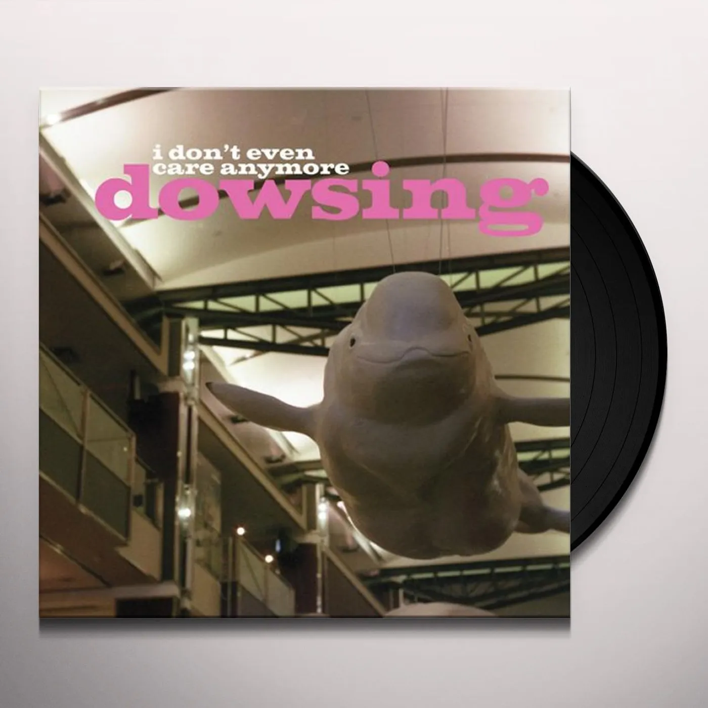 Dowsing DONT EVEN CARE ANYMORE Vinyl Record