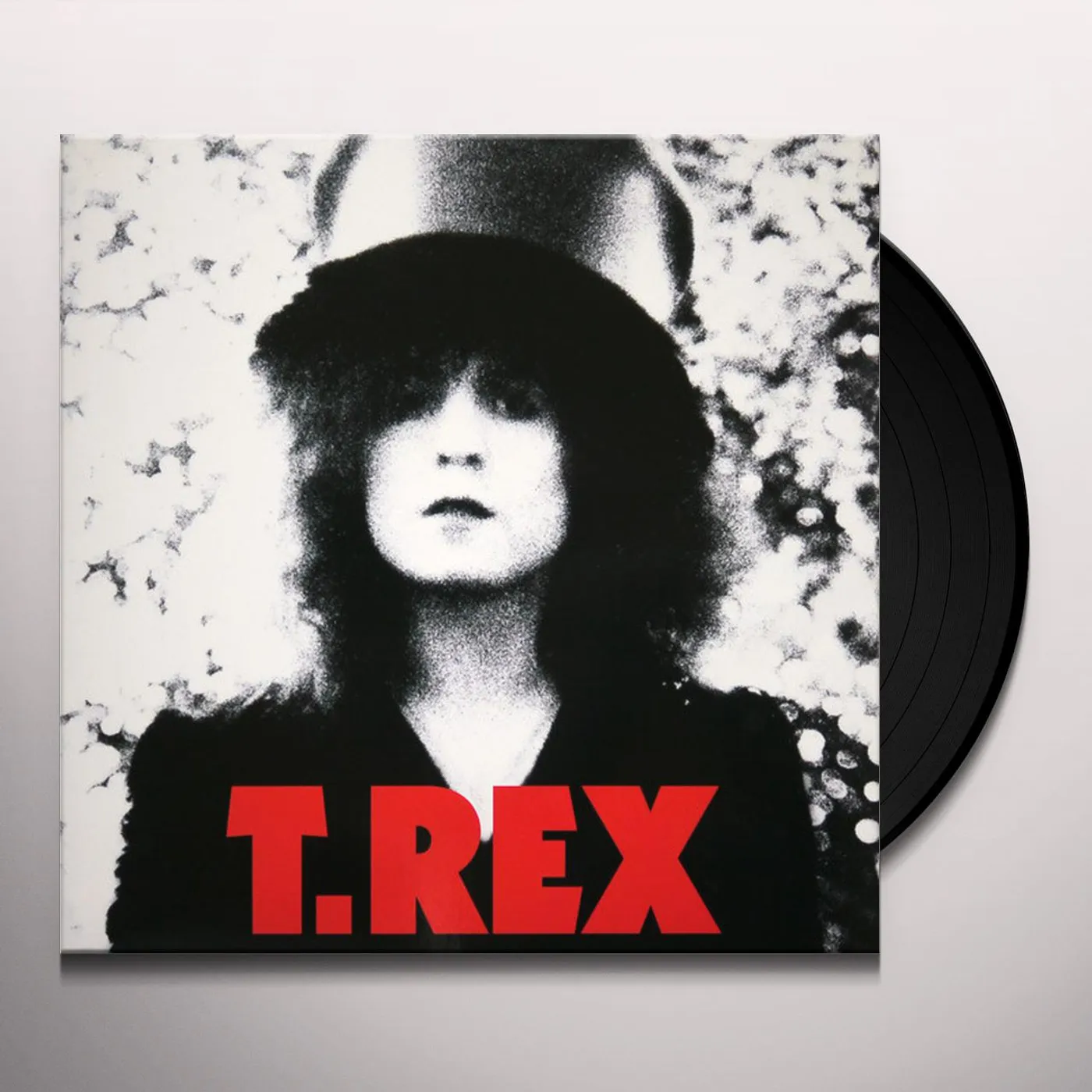 T. Rex SLIDER Vinyl Record
