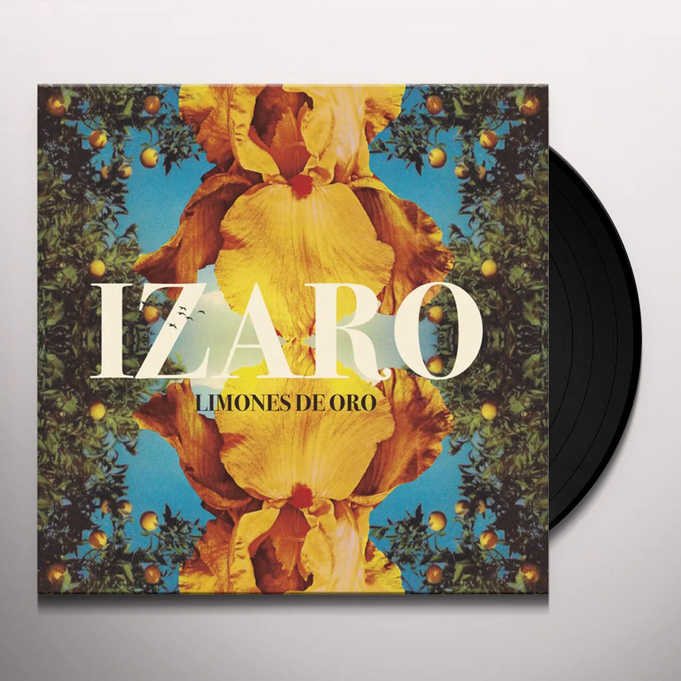 IZARO Limones de Oro Vinyl Record