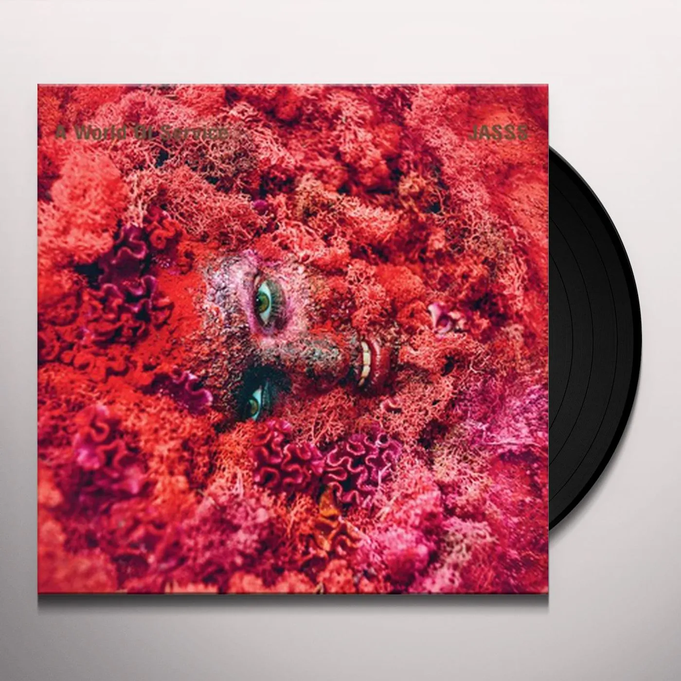 JASSS World Of Service Vinyl Record