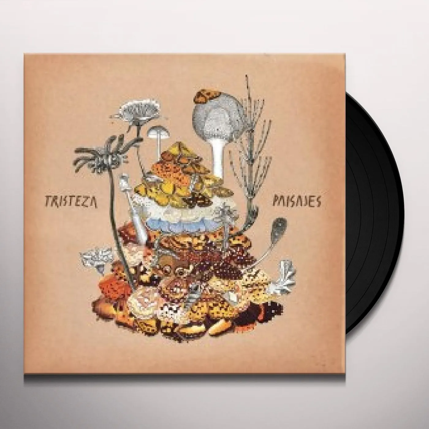 Tristeza Paisajes Vinyl Record
