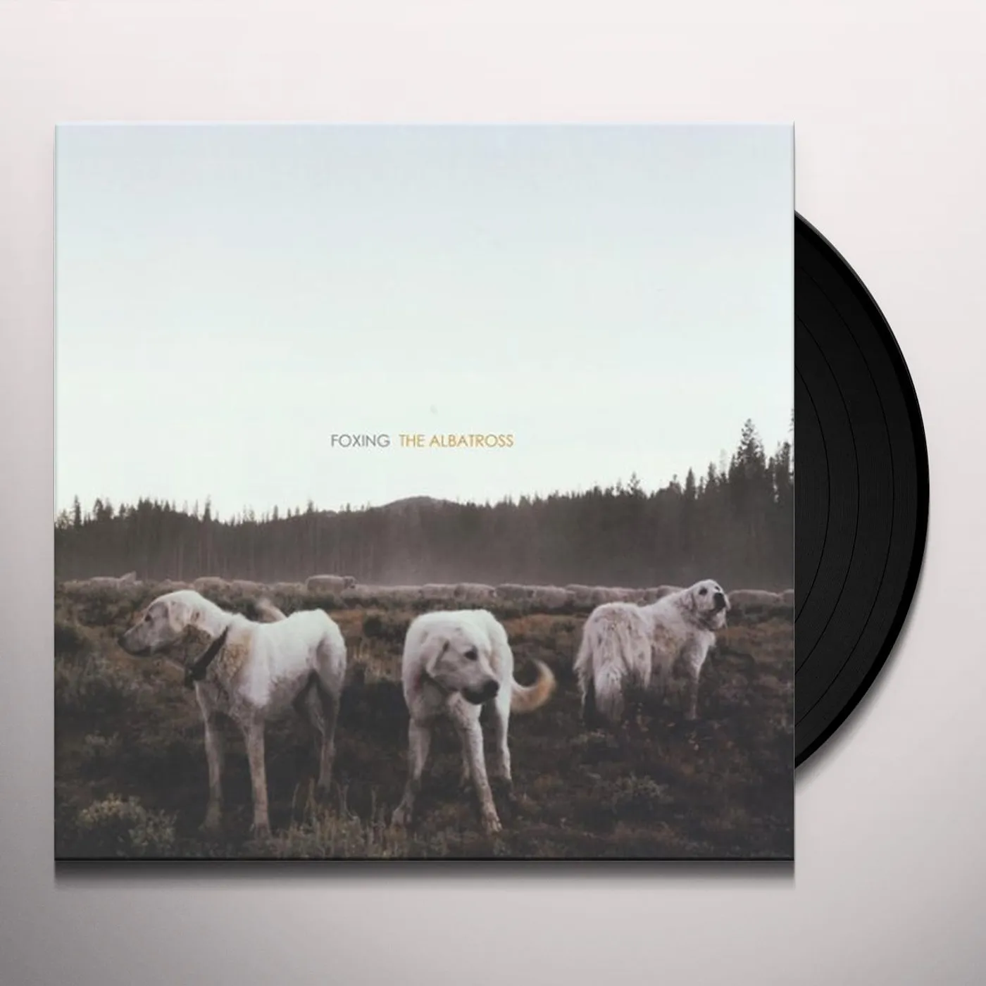Foxing ALBATROSS (Vinyl)