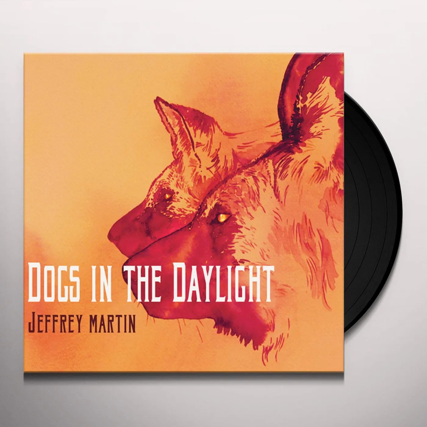 Jeffrey Martin Dogs in the Daylight Vinyl Record