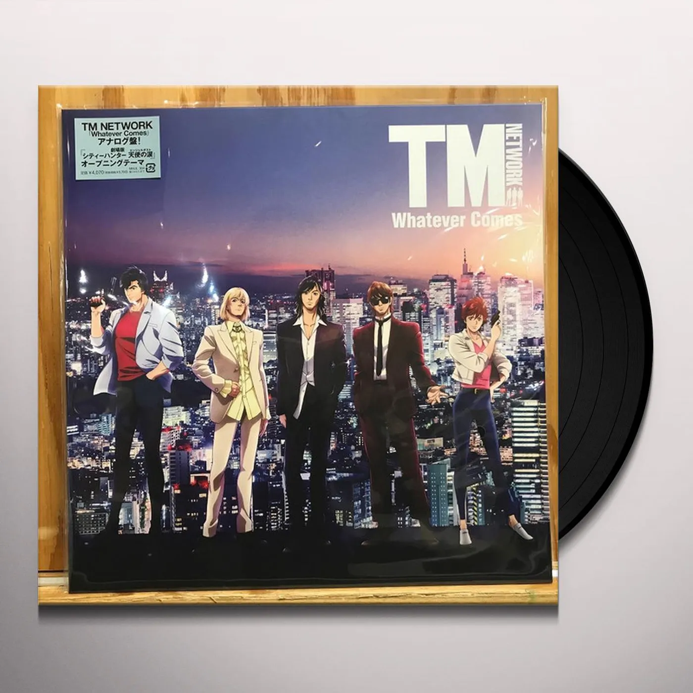 TM NETWORK WHATEVER COMES Vinyl Record