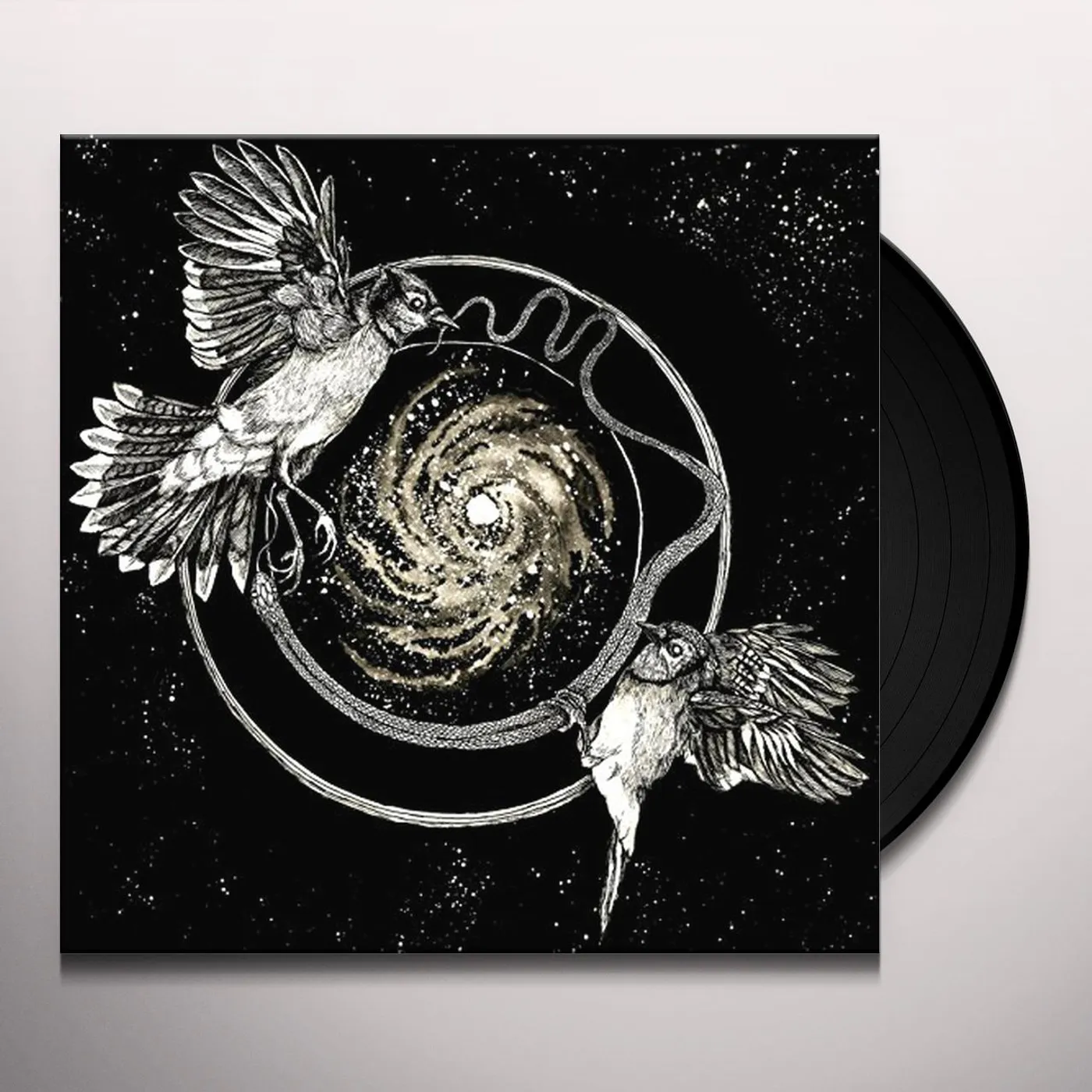 Vattnet Viskar Sky Swallower Vinyl Record