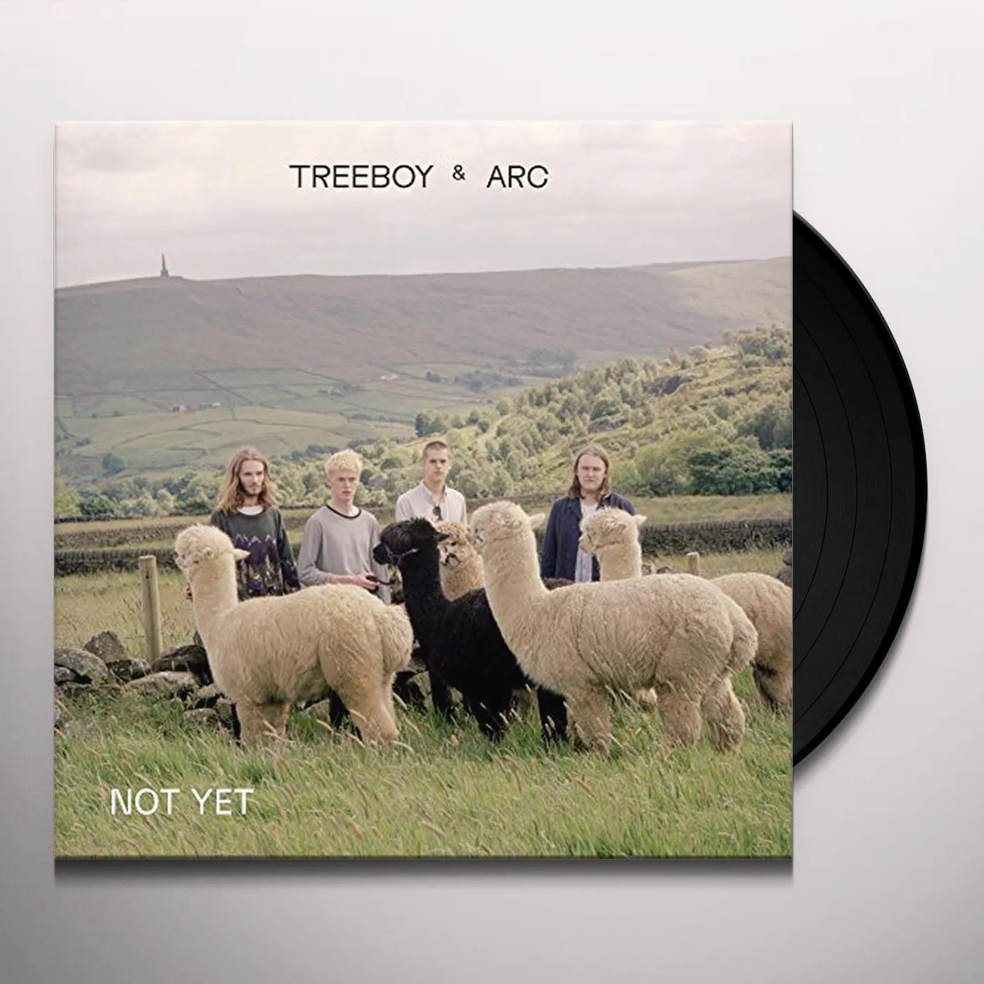 Treeboy & Arc NOT YET / MERGE Vinyl Record