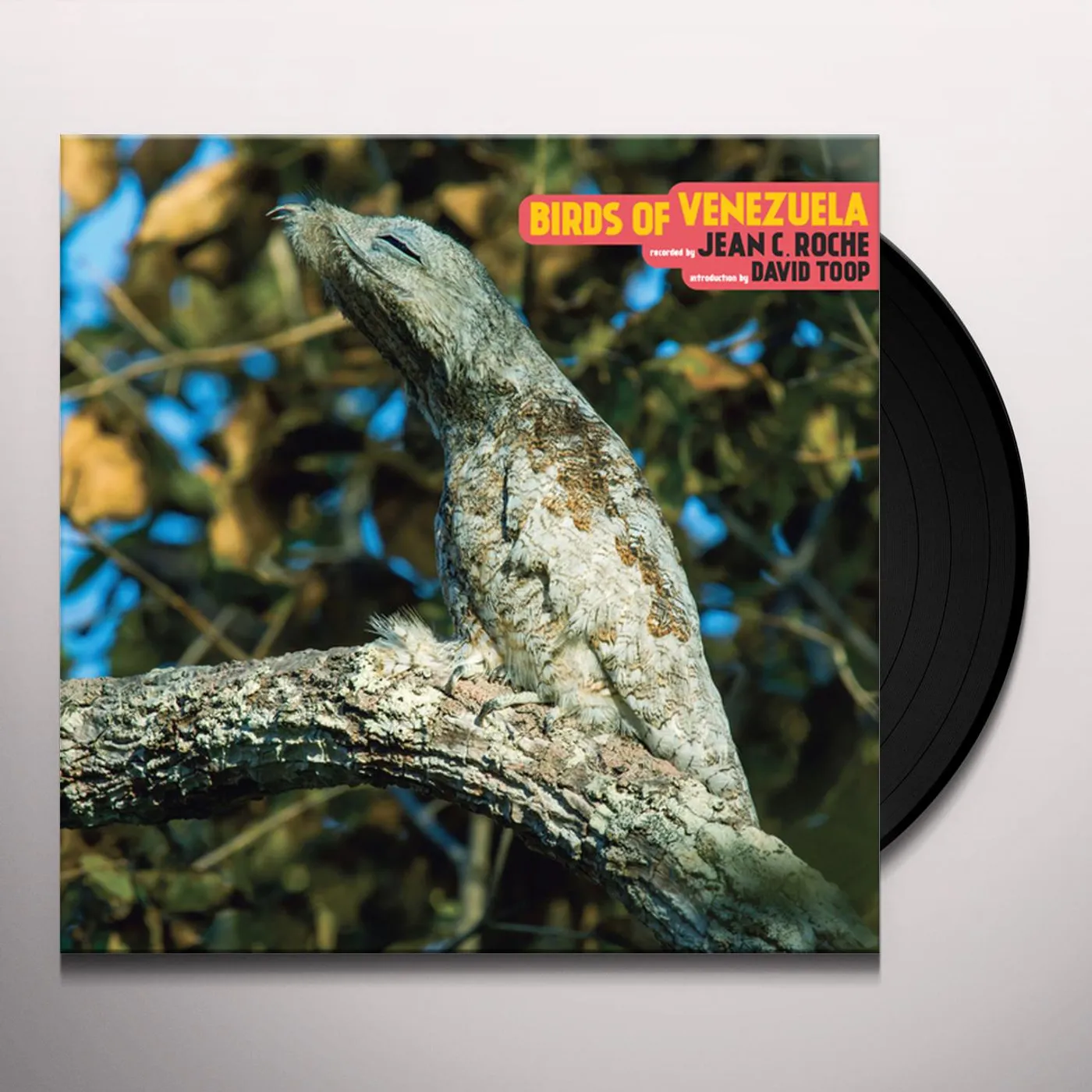 Jean C. Roché Birds Of Venezuela Vinyl Record