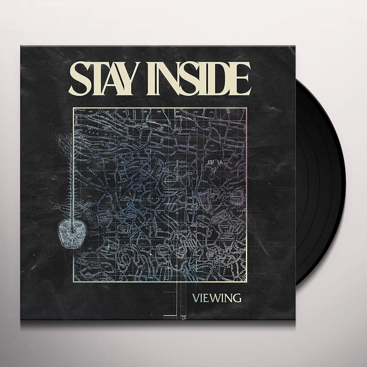 Stay Inside Viewing Vinyl Record