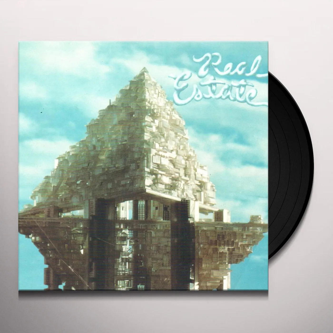 Real Estate Vinyl Record