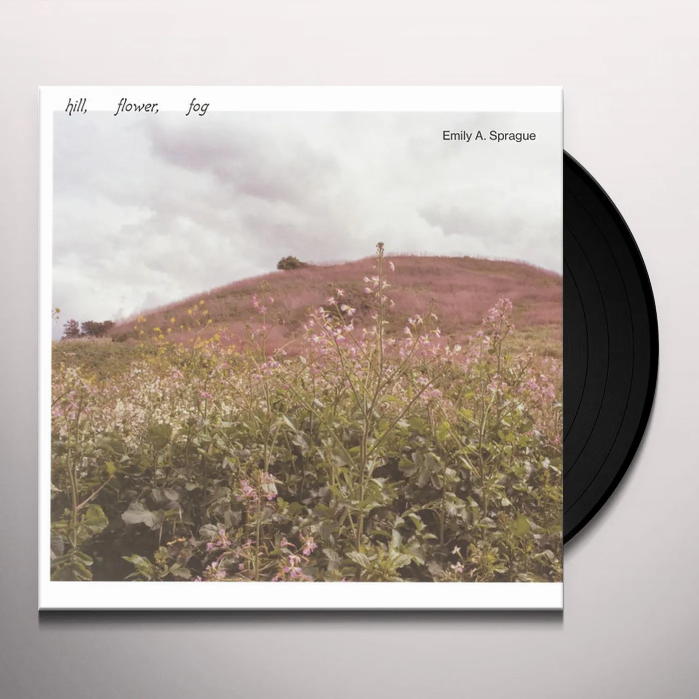 Emily A. Sprague HILL FLOWER FOG Vinyl Record