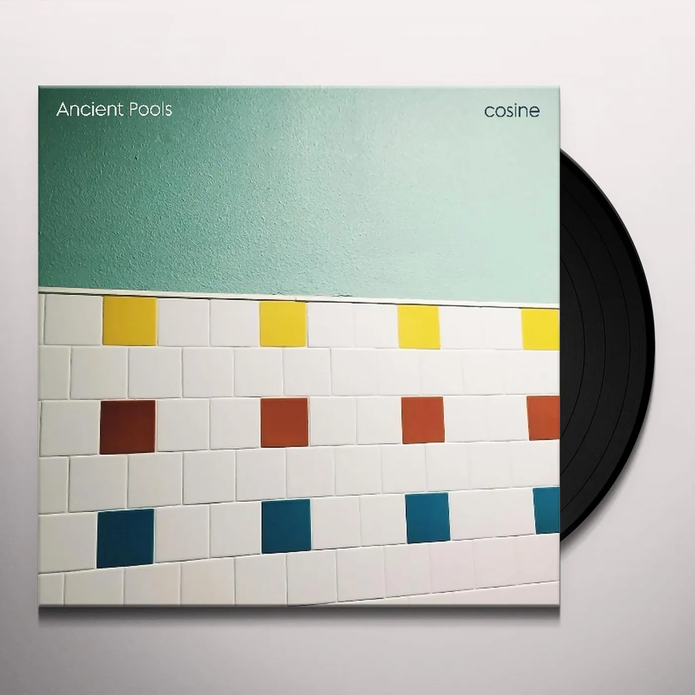 Ancient Pools Cosine Vinyl Record