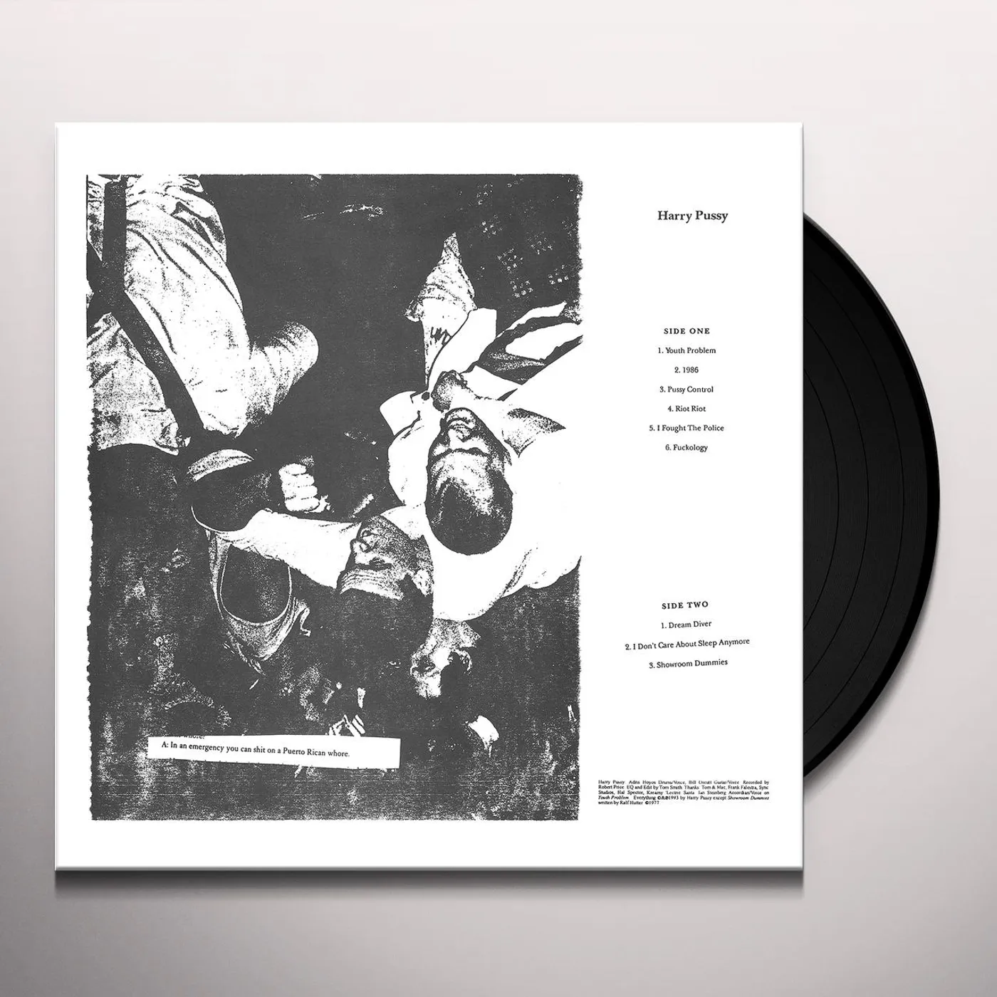 Harry Pussy Vinyl Record