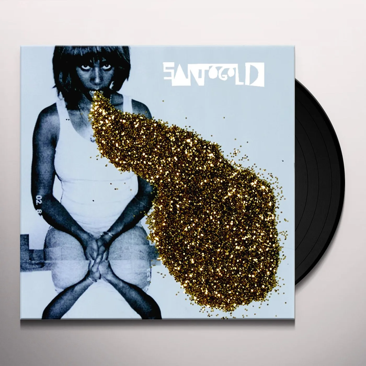 Santigold Vinyl Record