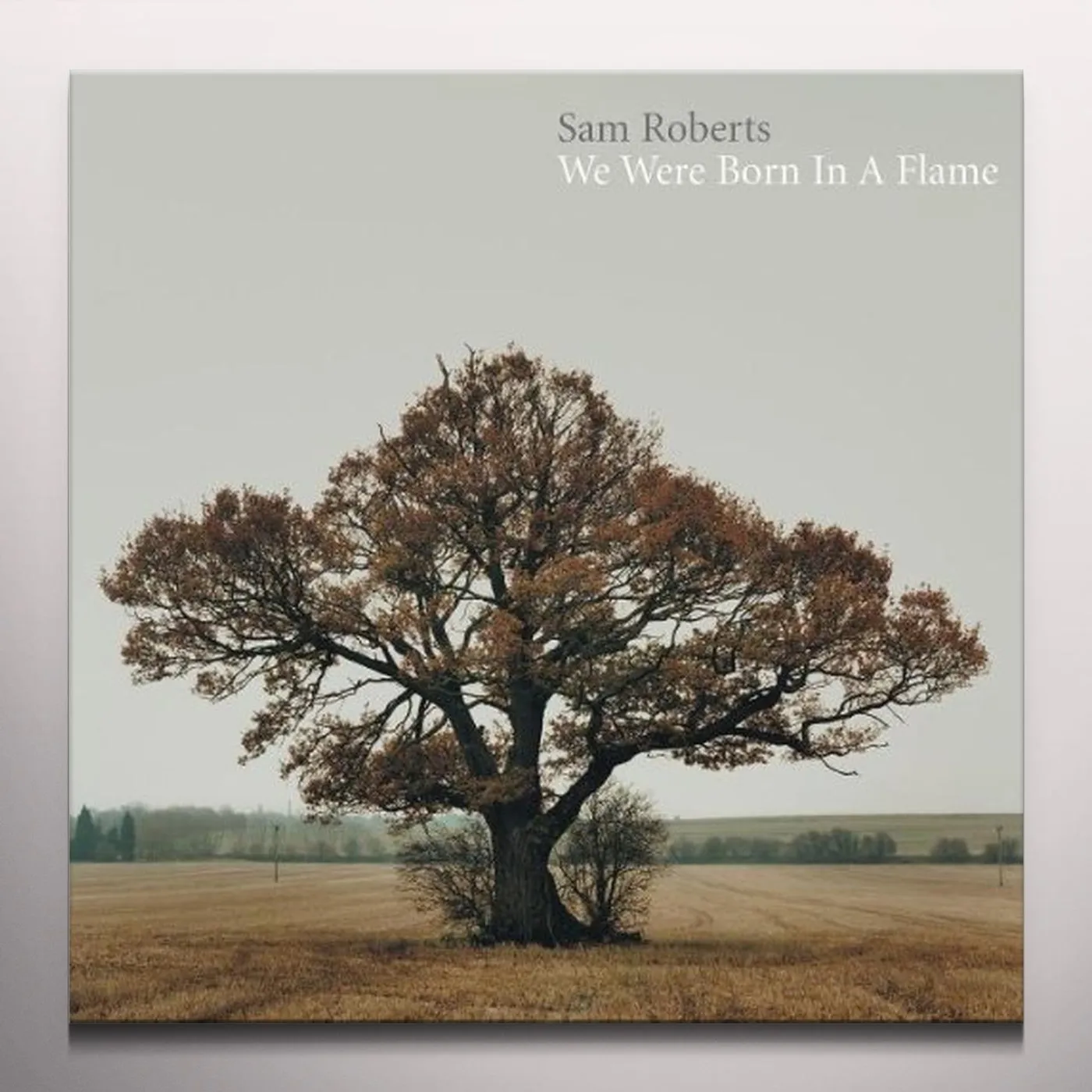 Sam Roberts Band We were born in a flame Vinyl Record