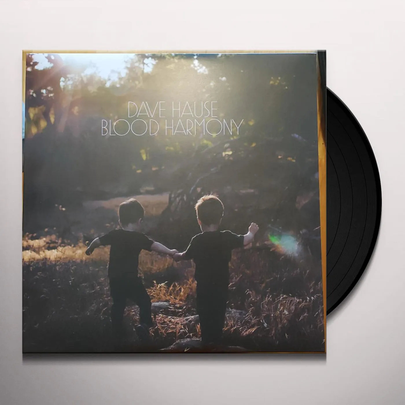 Dave Hause Blood Harmony Vinyl Record