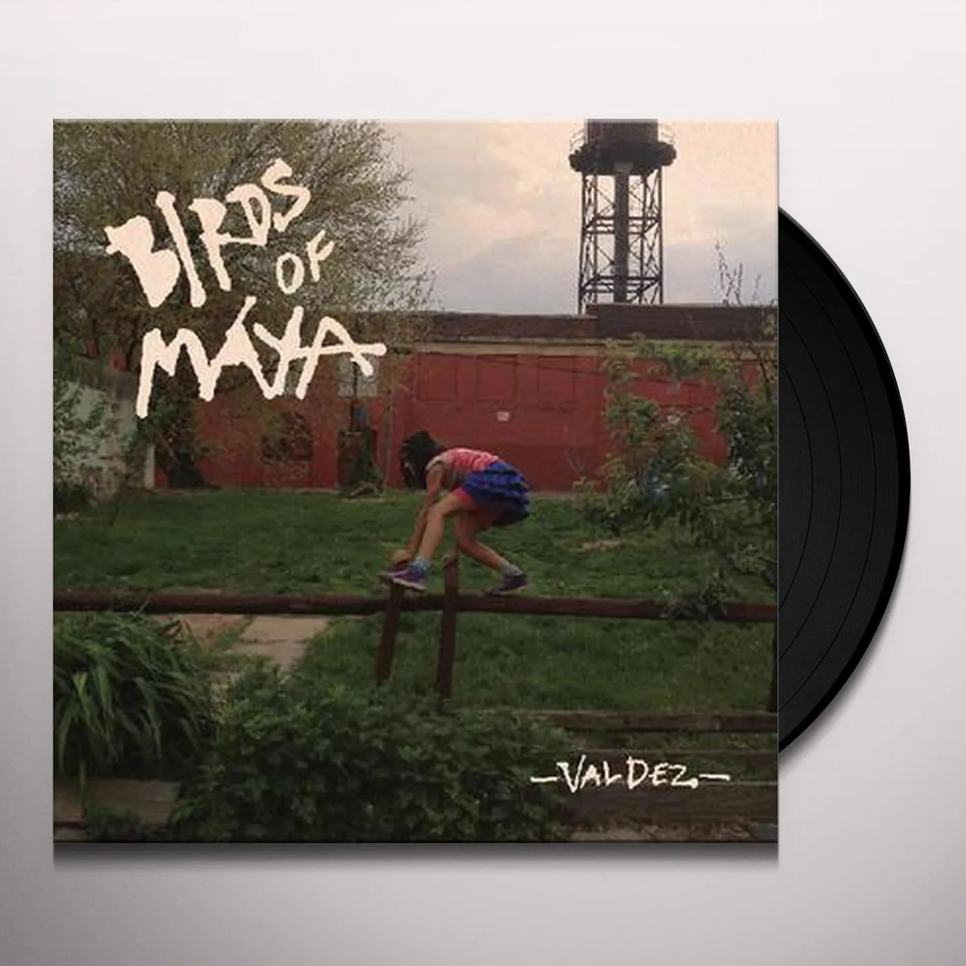 Birds of Maya Valdez Vinyl Record