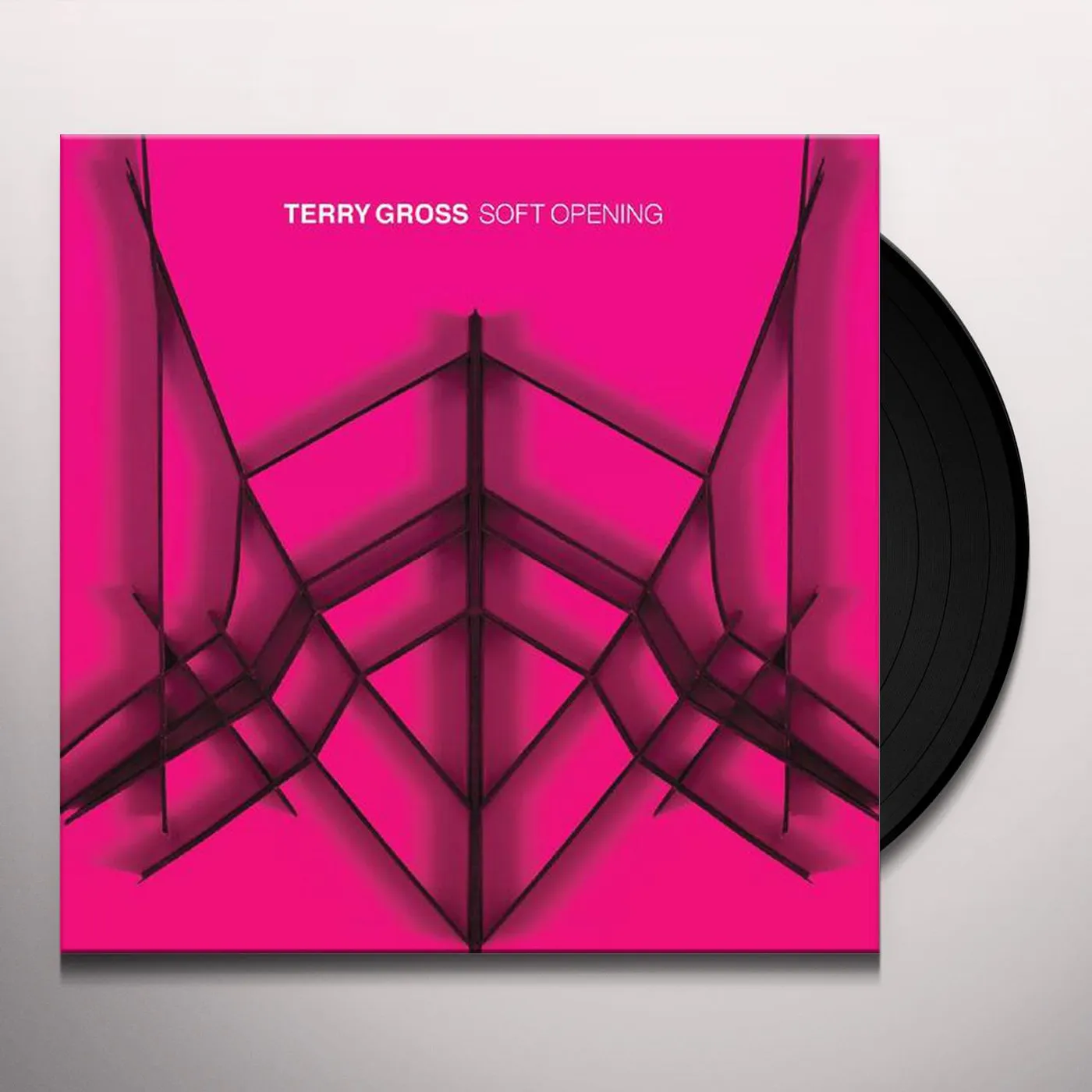Terry Gross SOFT OPENING Vinyl Record