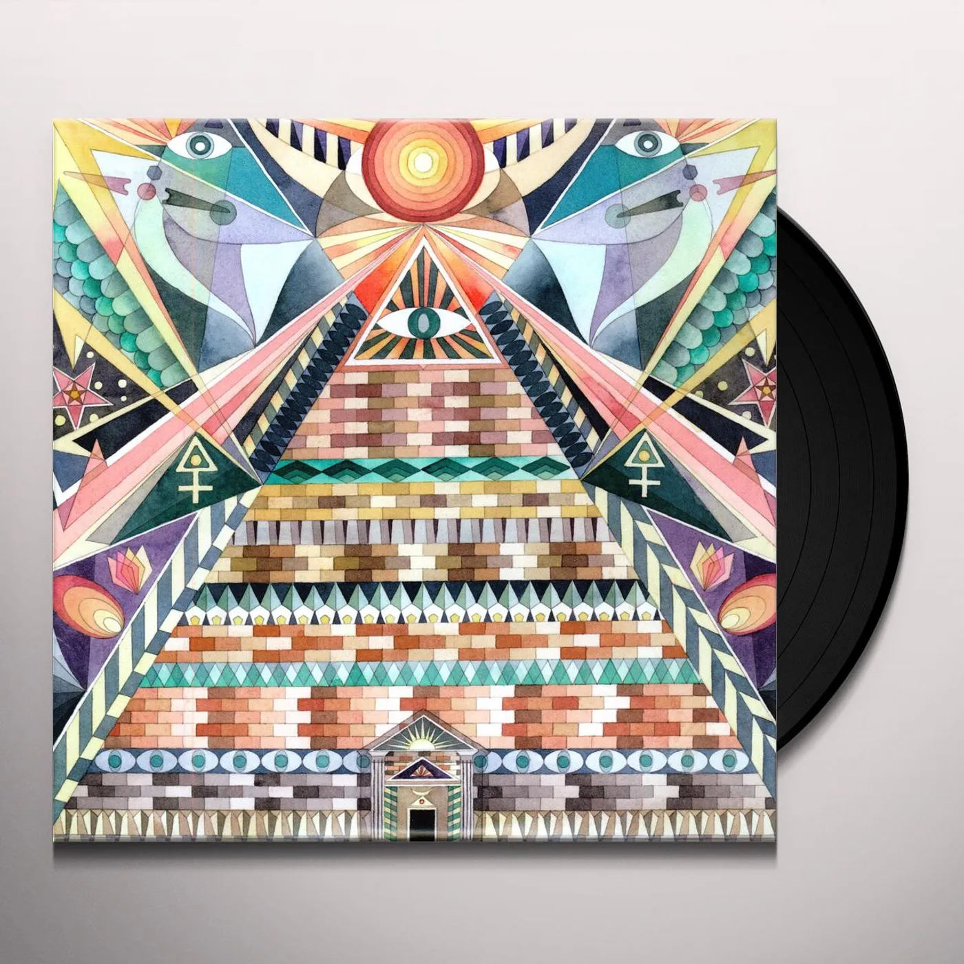 The Skull Defekts TEMPLE Vinyl Record