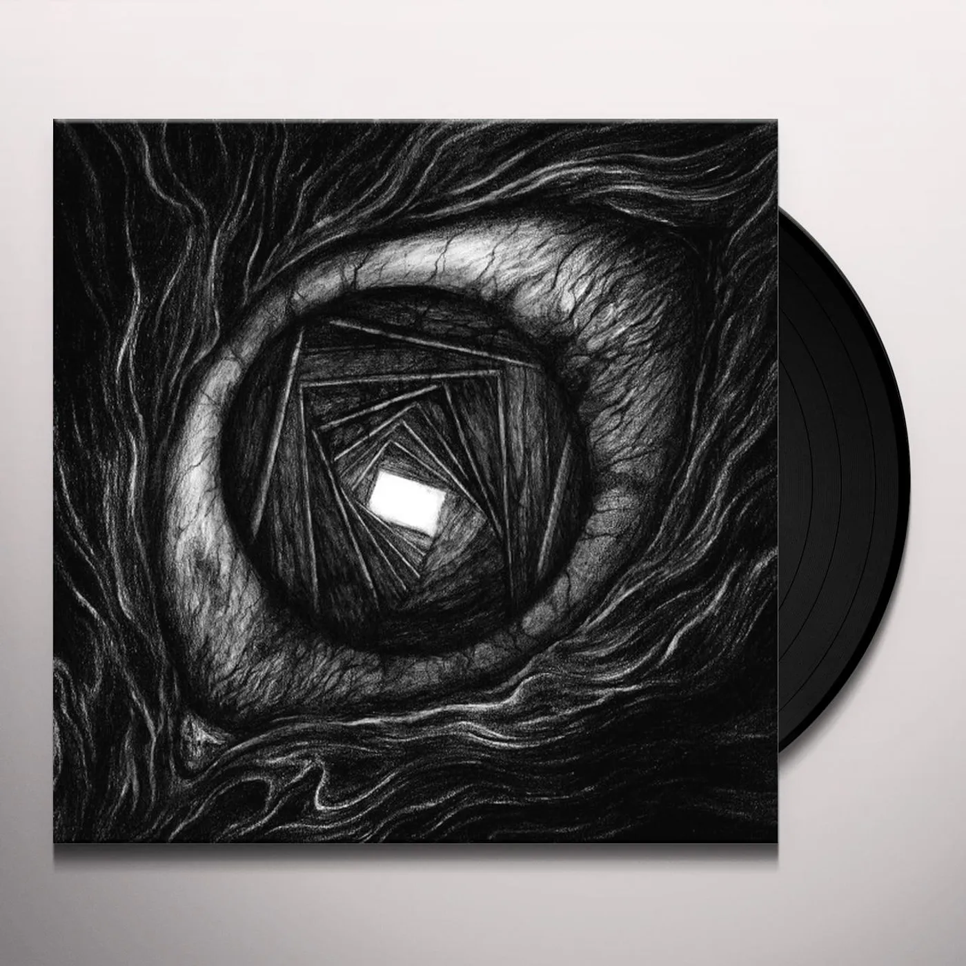 Carpe Noctem Vitrun Vinyl Record