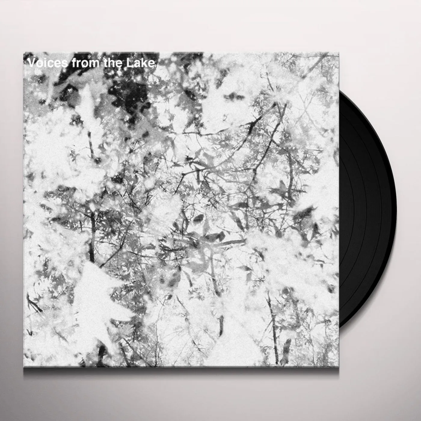 VOICES FROM THE LAKE Vinyl Record