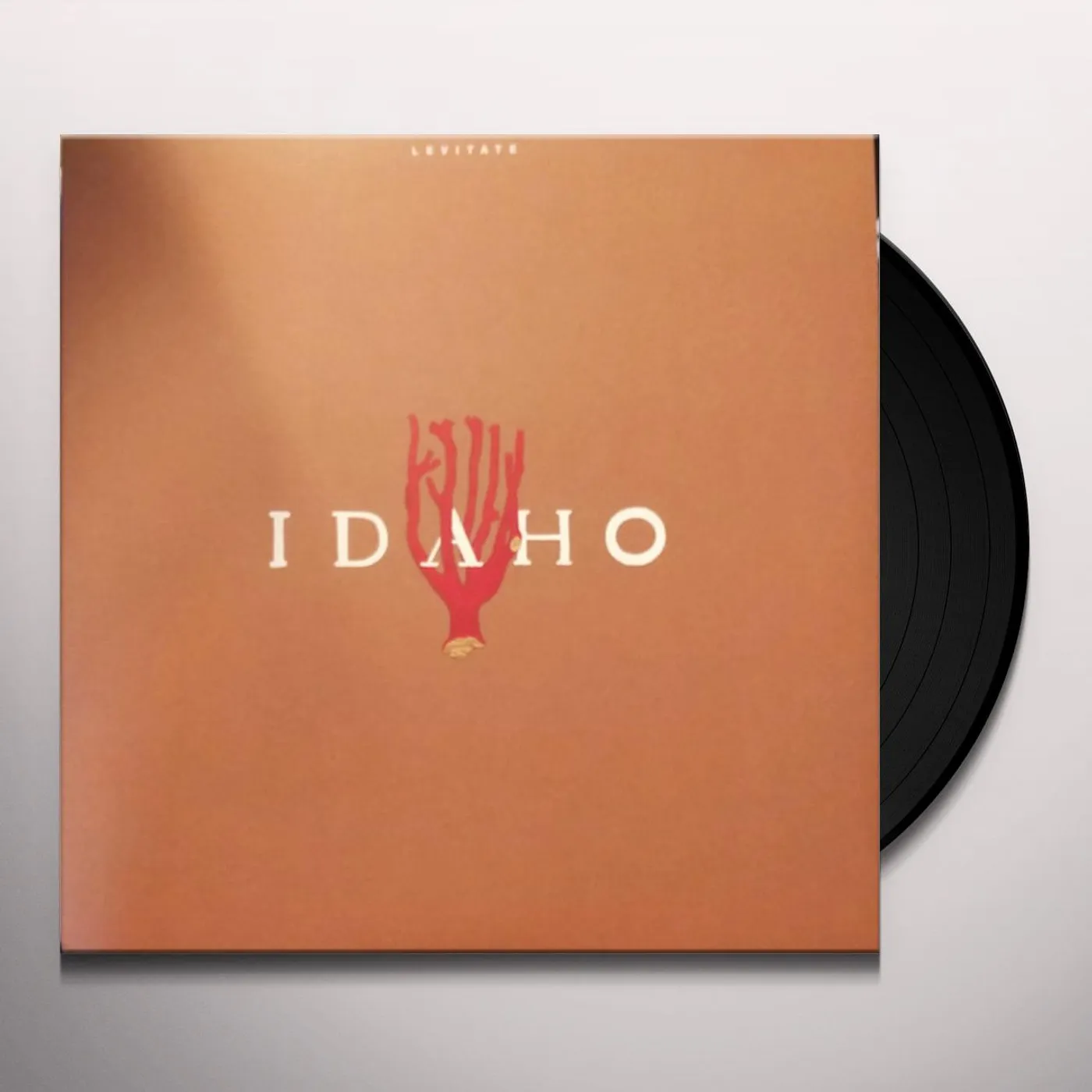 Idaho Levitate Vinyl Record