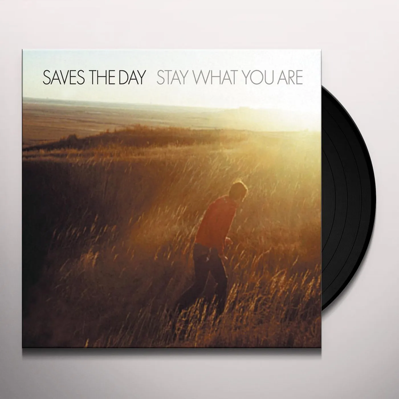 Saves The Day Stay What You Are Vinyl Record