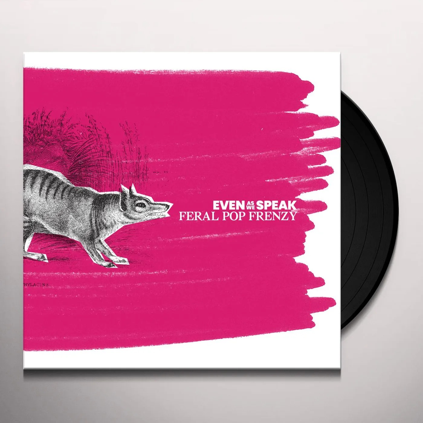 Even As We Speak Feral Pop Frenzy Vinyl Record