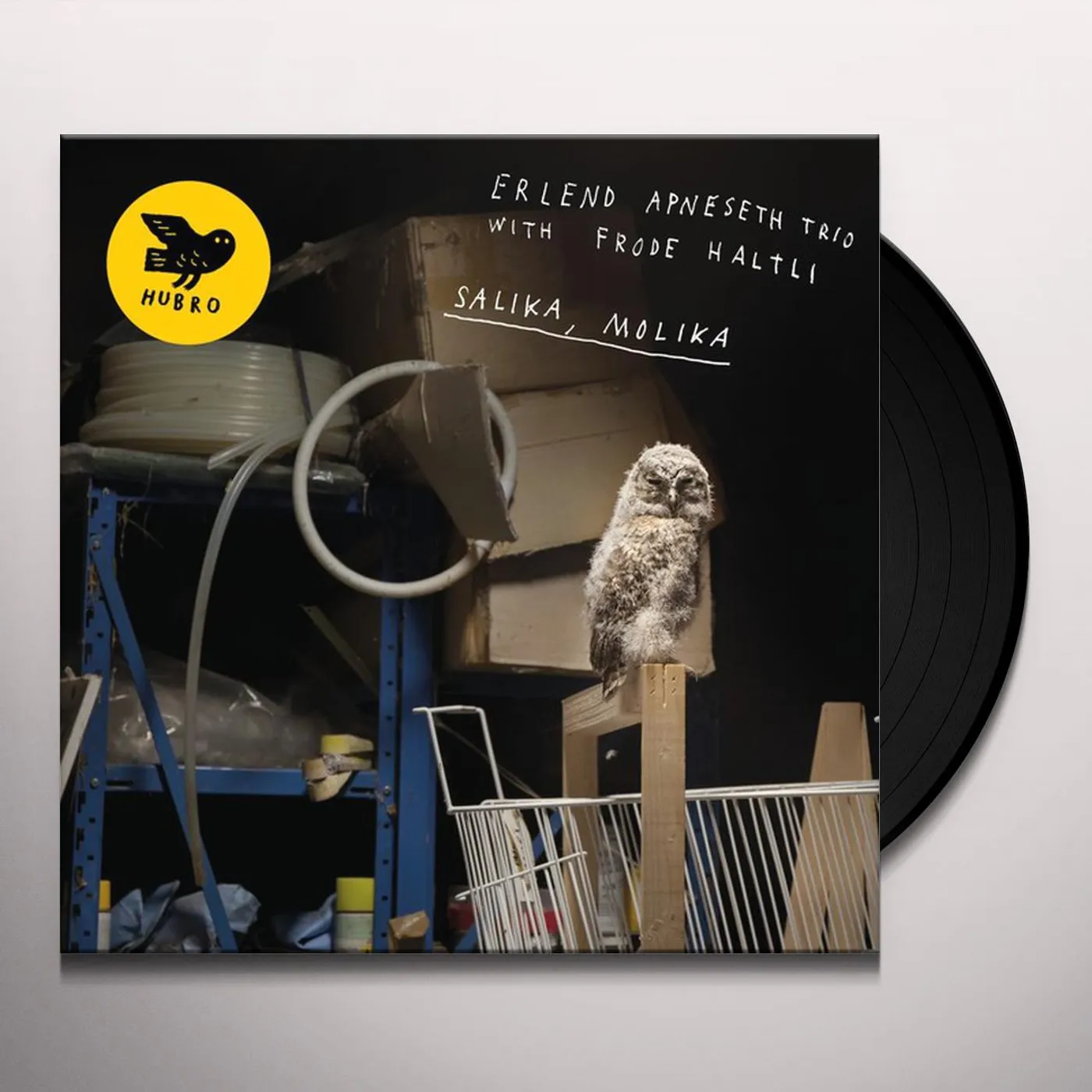 Erlend Trio Apneseth / Frode Haltli