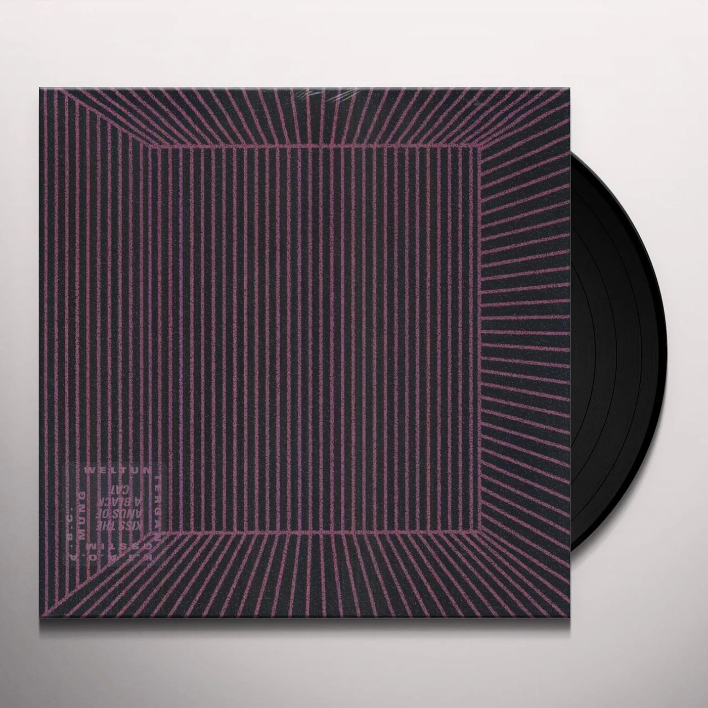 kiss the anus of a black cat Weltuntergangsstimmung Vinyl Record