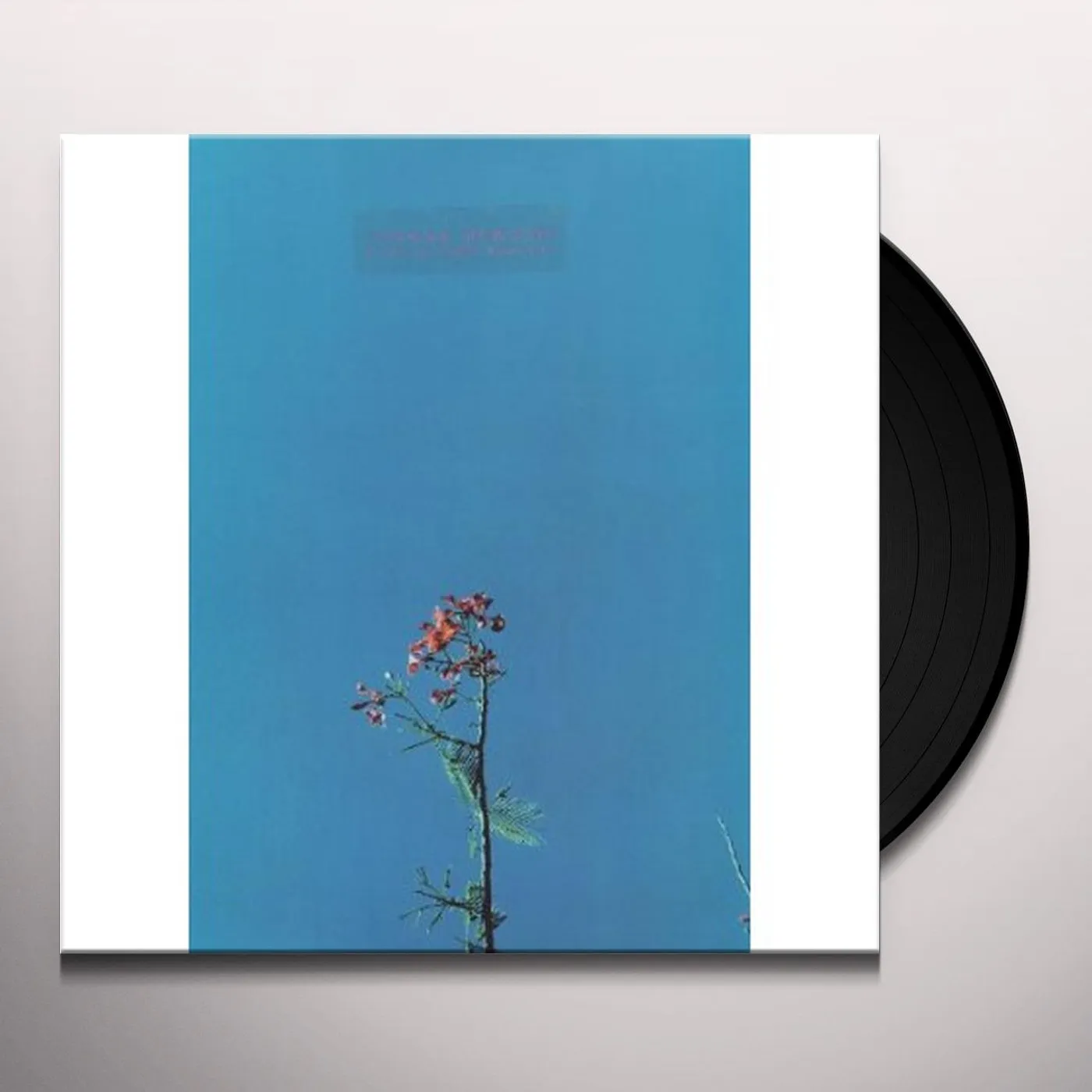 Joanna Newsom & THE YS STREET BAND EP Vinyl Record