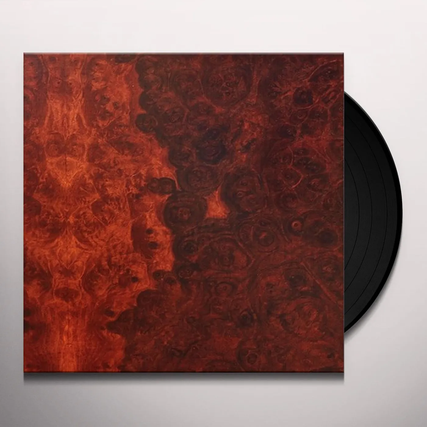 True Widow Avvolgere Vinyl Record