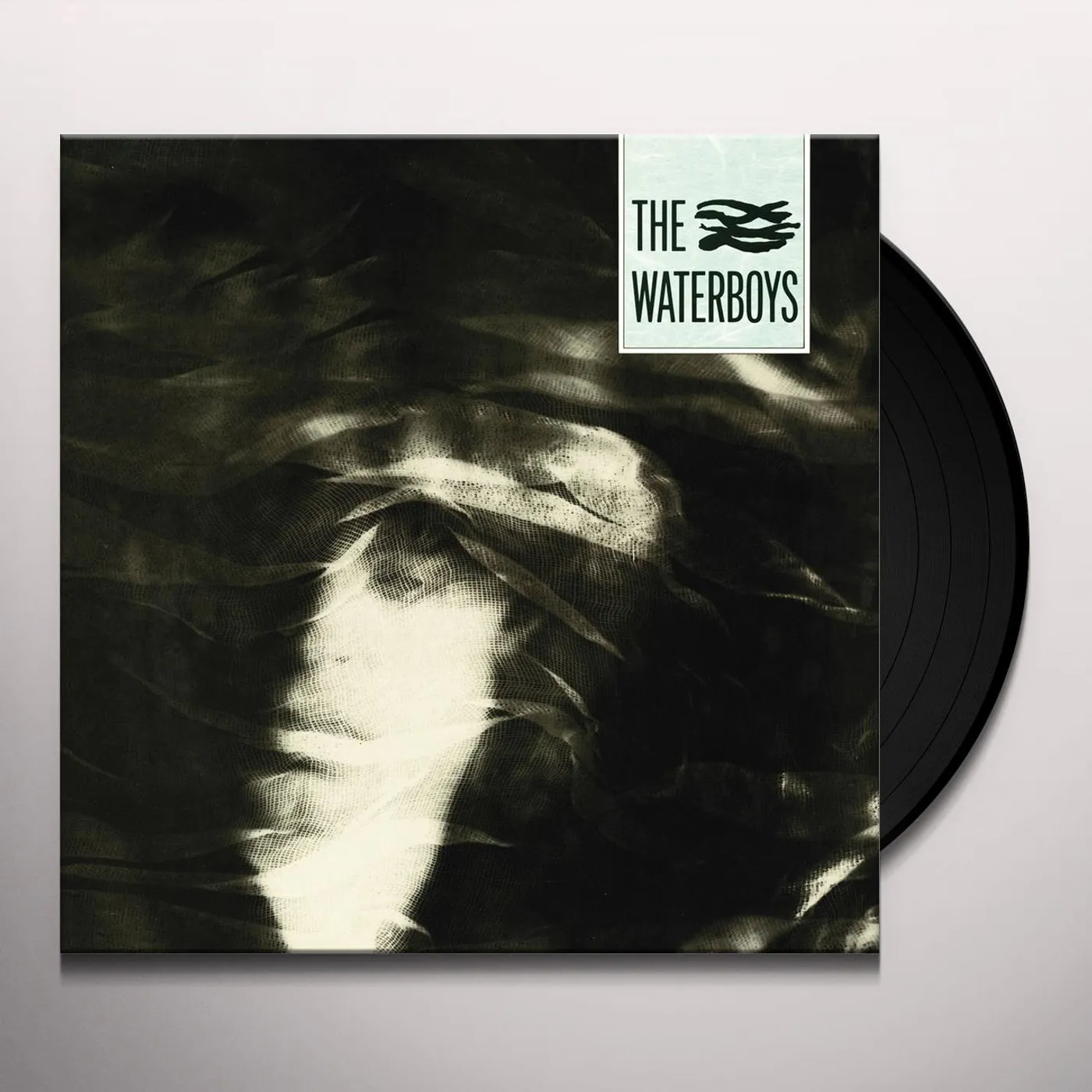 The Waterboys PAGAN PLACE Vinyl Record