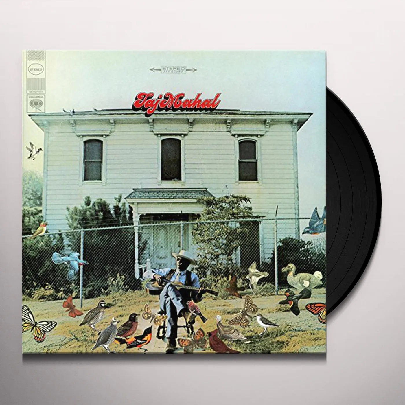 Taj Mahal Vinyl Record