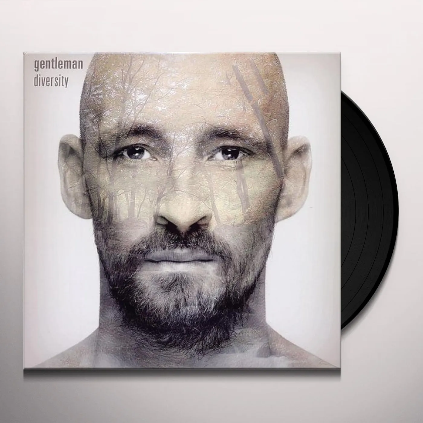 Gentleman Diversity Vinyl Record