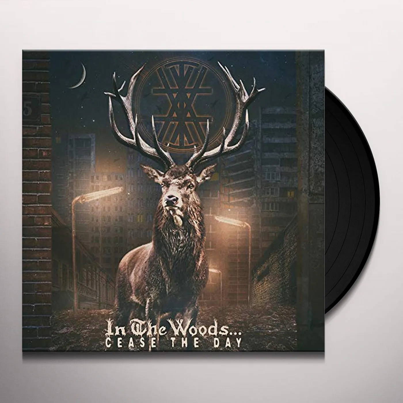 In The Woods... Cease the Day Vinyl Record