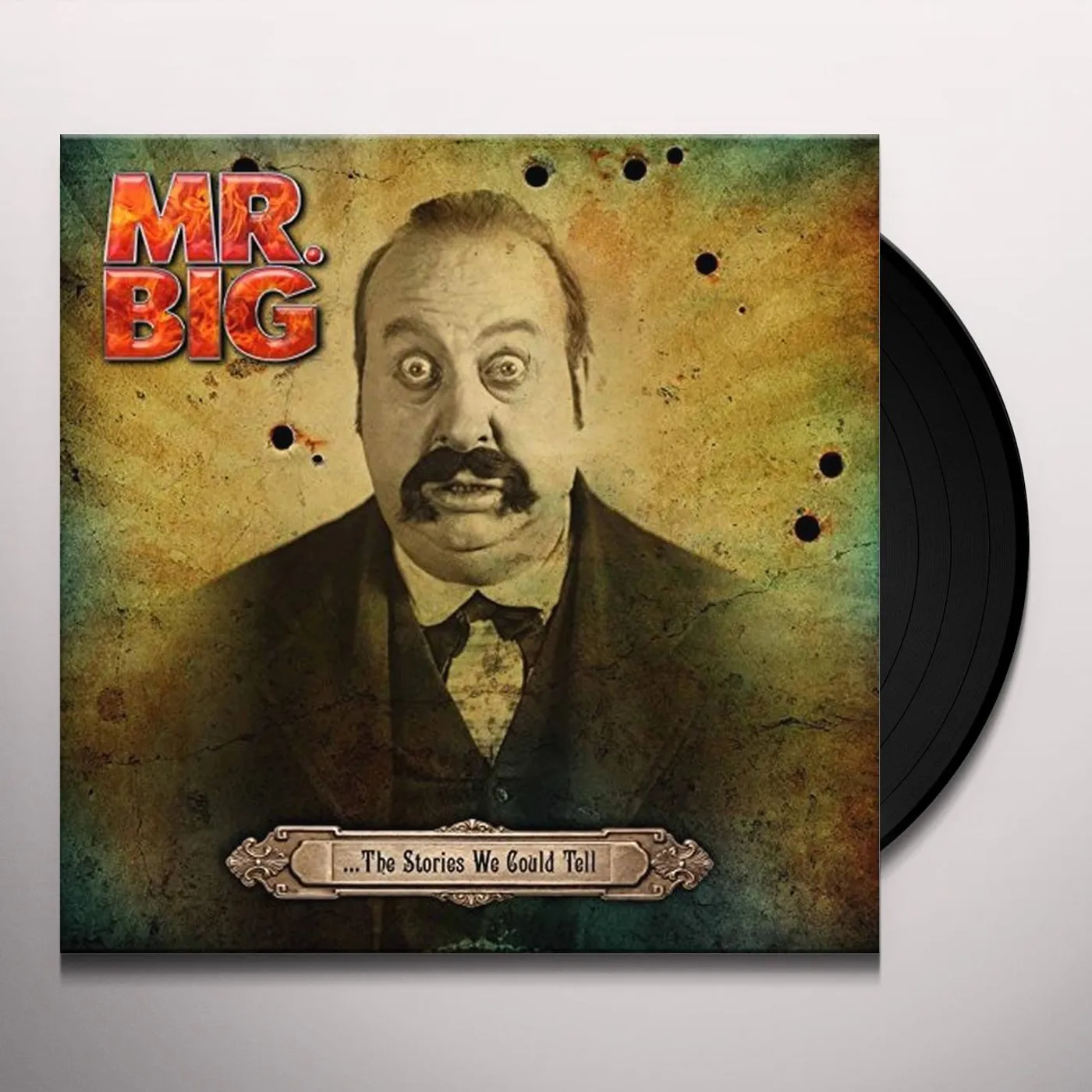 Mr. Big STORIES WE COULD TELL Vinyl Record