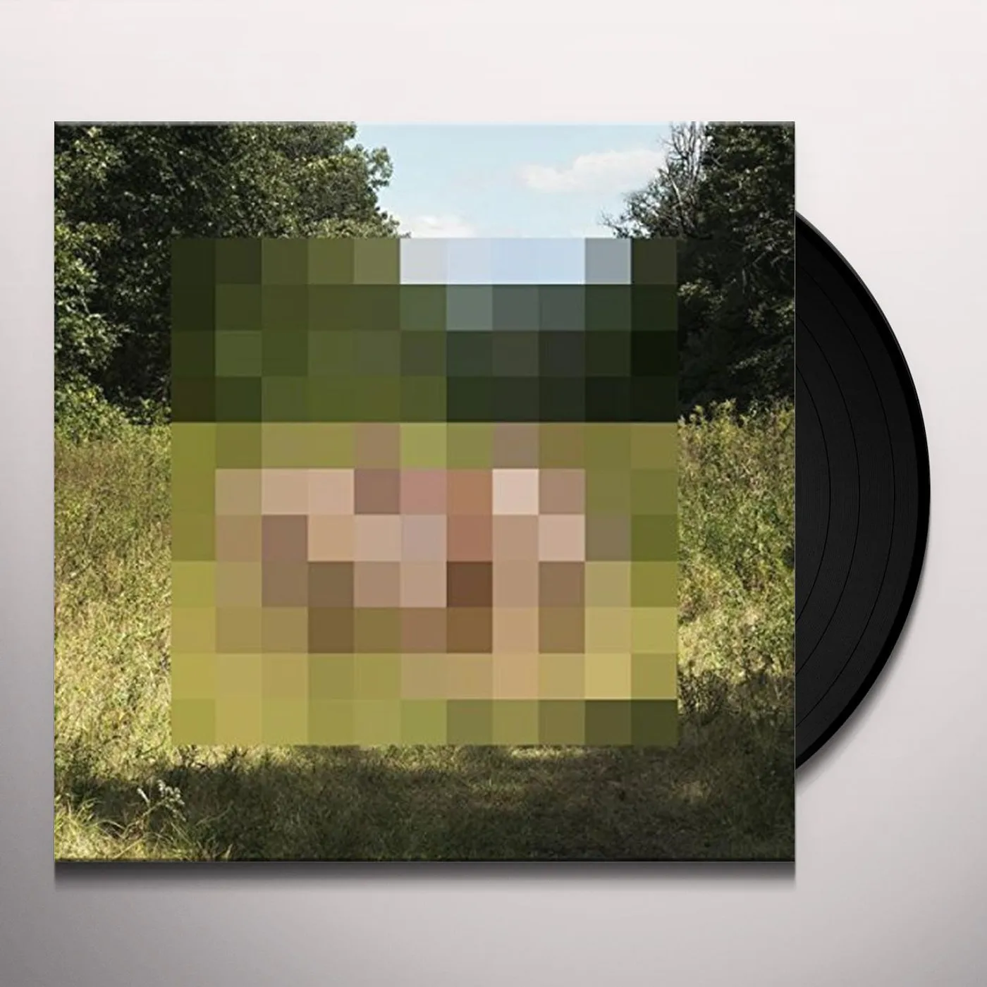 The Hotelier Goodness Vinyl Record