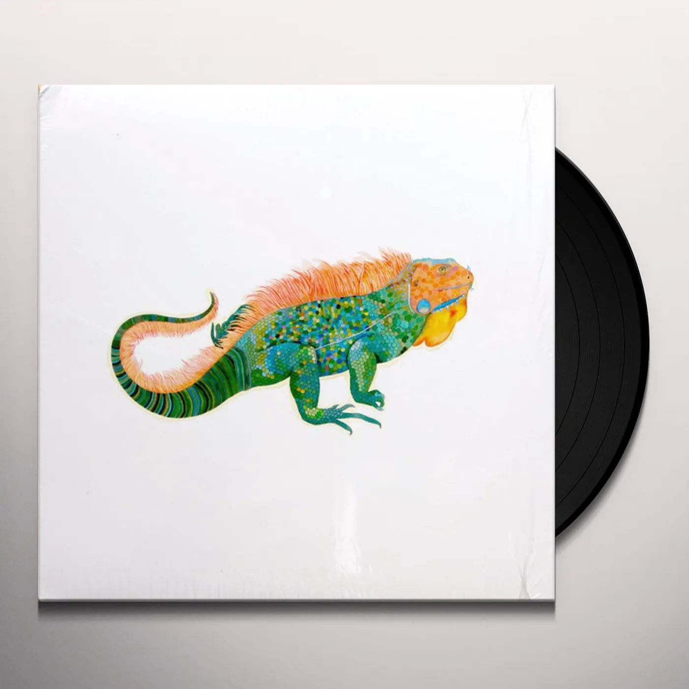 Larkin Grimm Parplar Vinyl Record