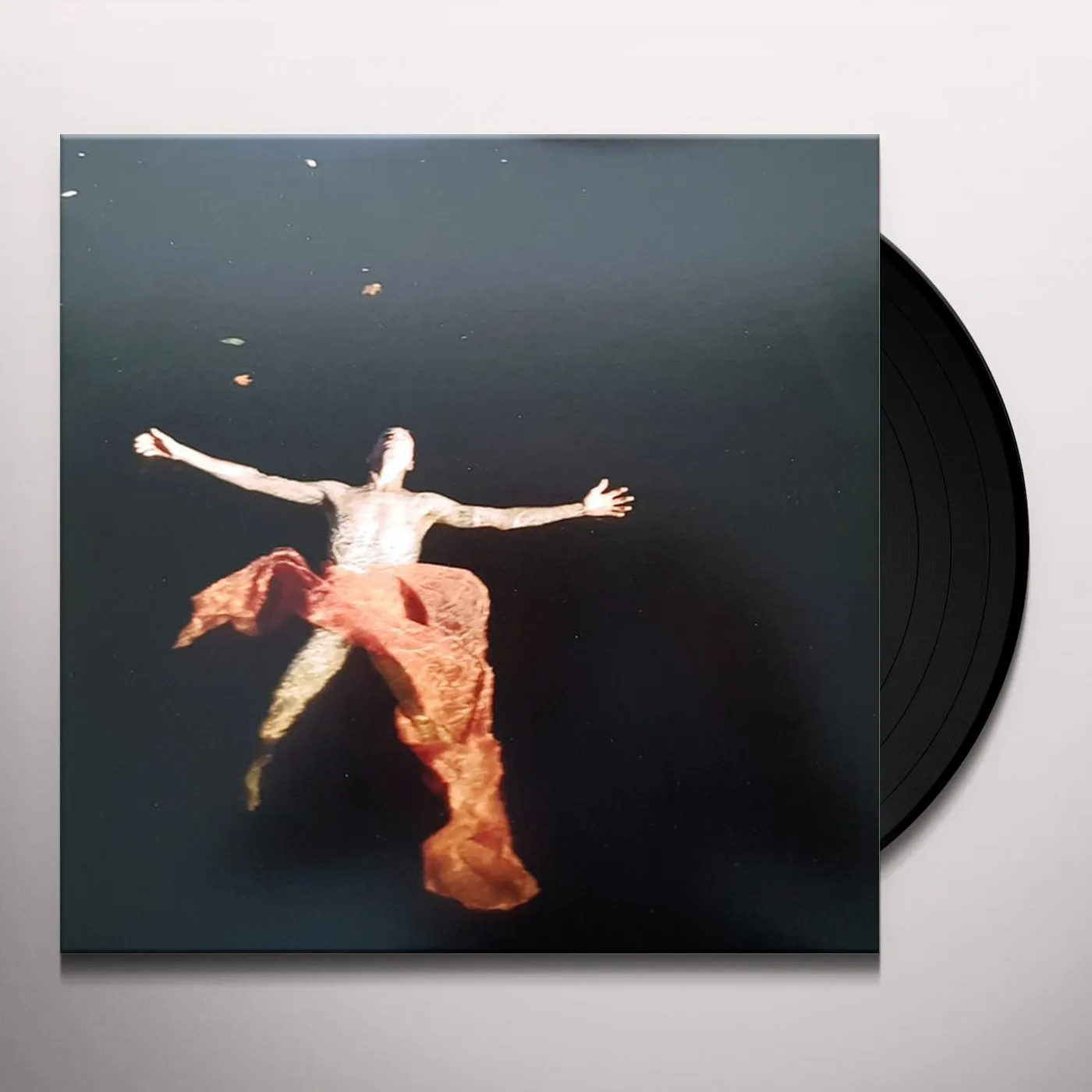 TR/ST DESTROYER - 1 Vinyl Record