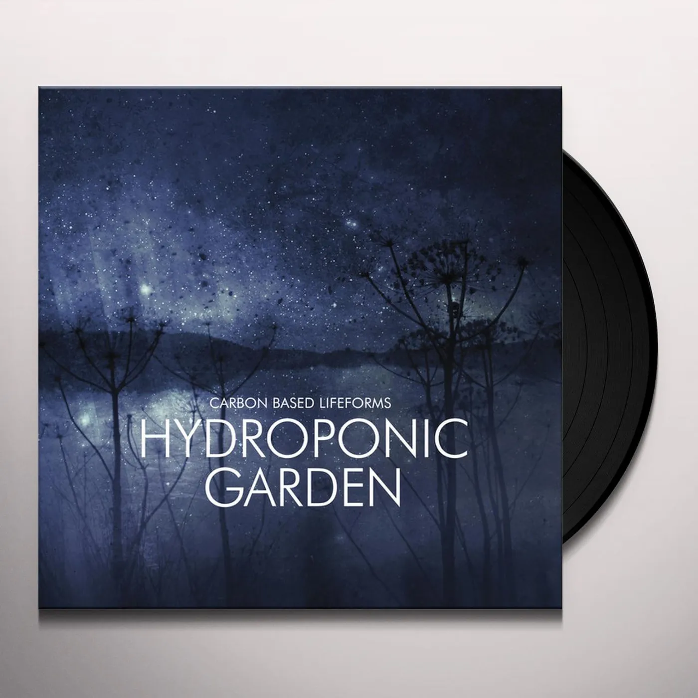 Carbon Based Lifeforms Hydroponic Garden Vinyl Record